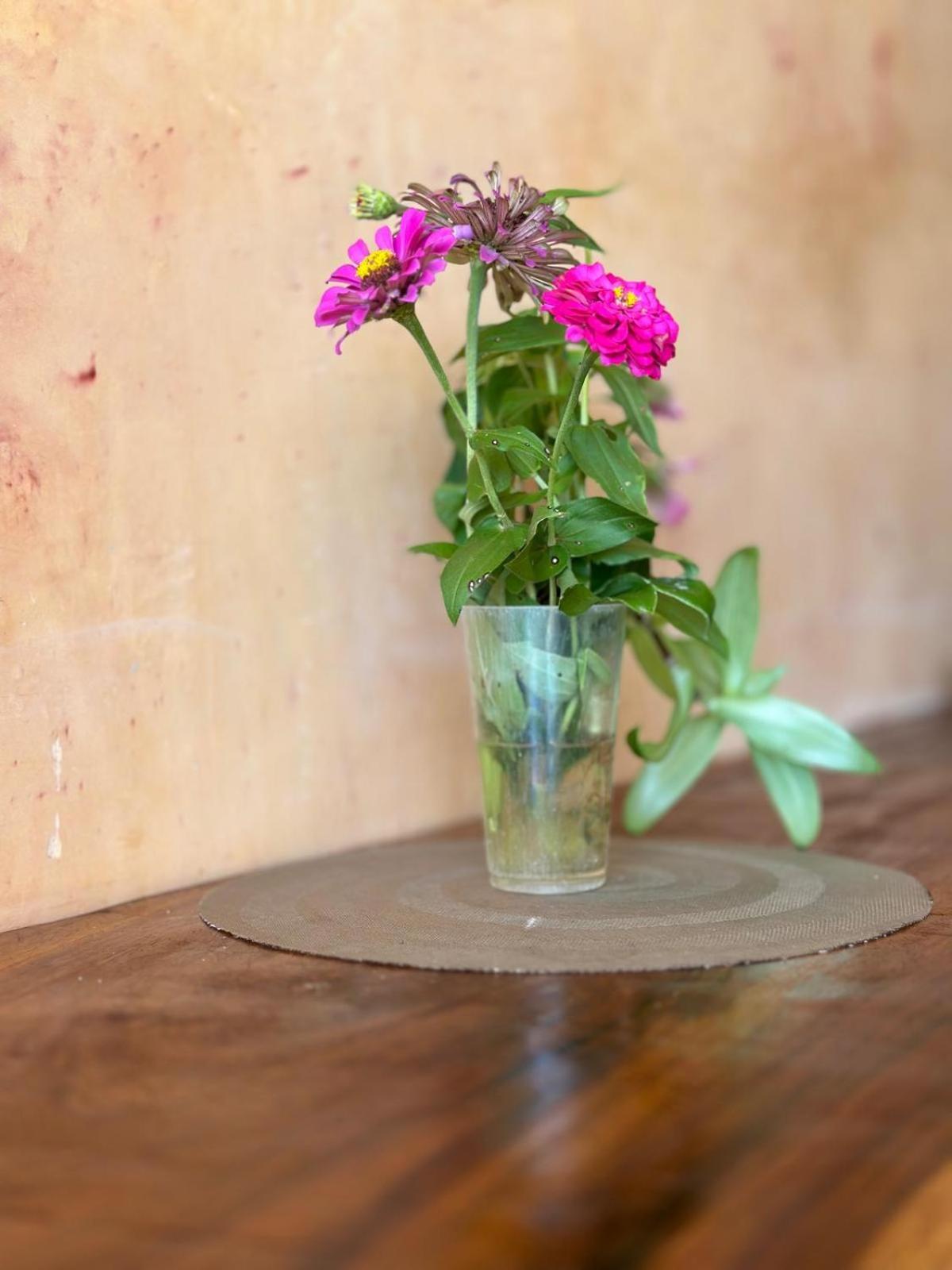 Casa Jasmin Bed & Breakfast トロンコネス エクステリア 写真
