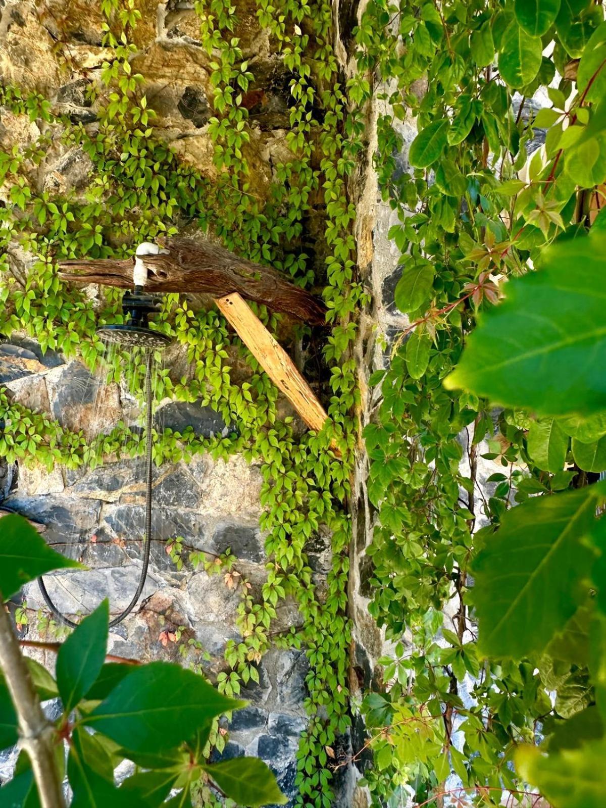 Casa Jasmin Bed & Breakfast トロンコネス エクステリア 写真